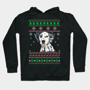 Cute Dalmatian Dog Lover Ugly Christmas Sweater For Women And Men Funny Gifts Hoodie